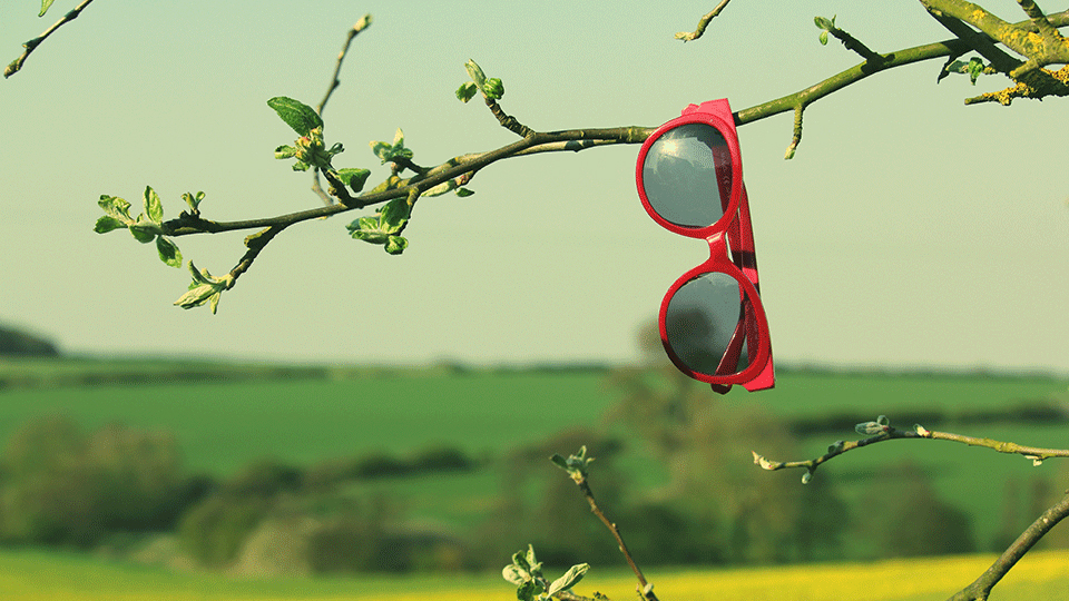 Sunglasses