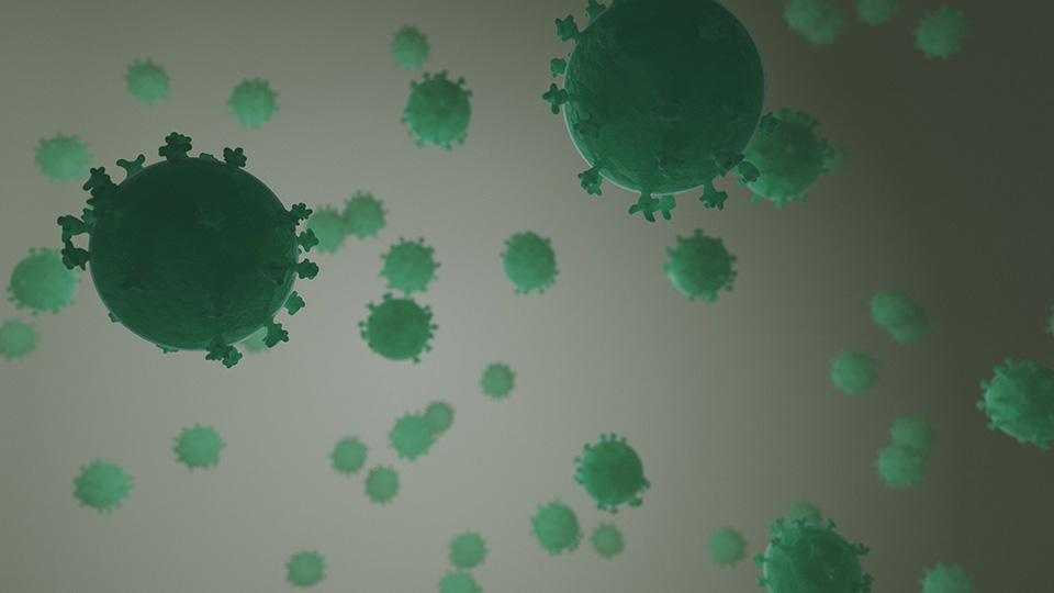 Virus