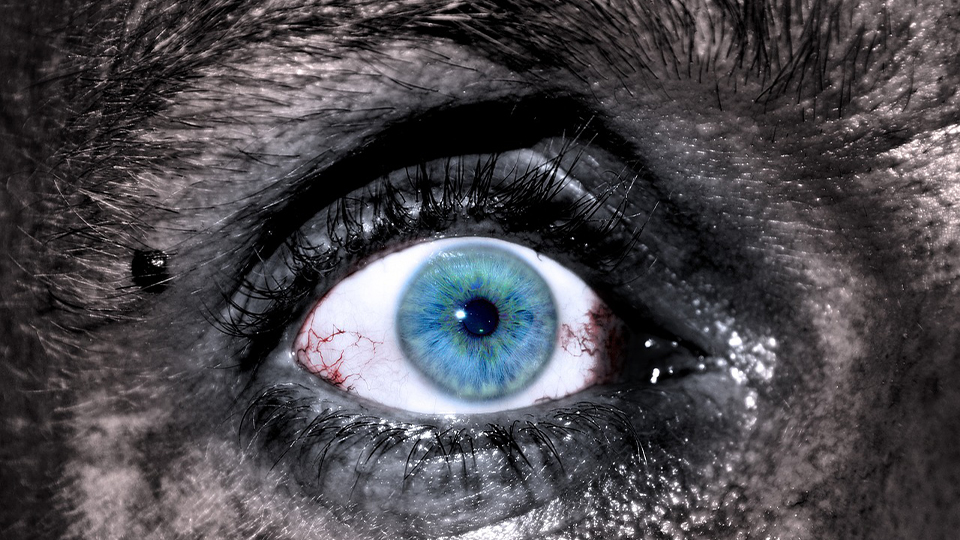 Horror eyes