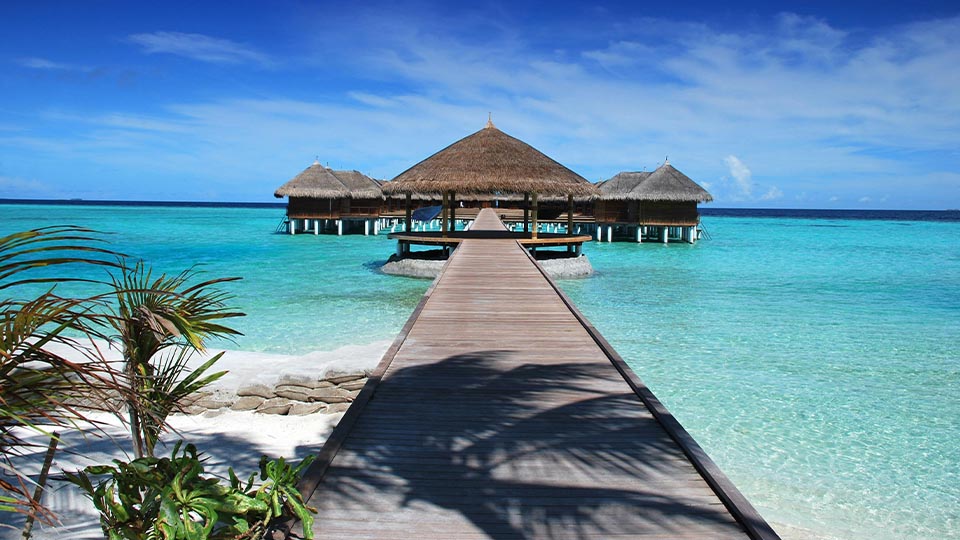 Holiday