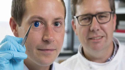 Researchers with a 3D cornea
