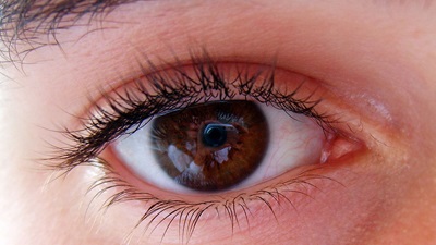 Brown eye close-up