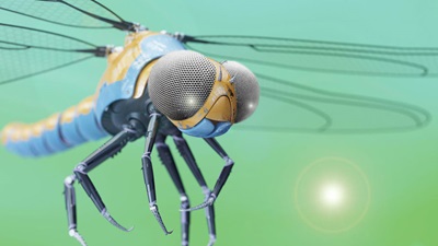 mechanical insect