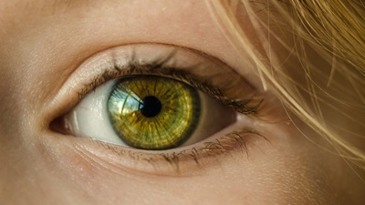 Child's green eye