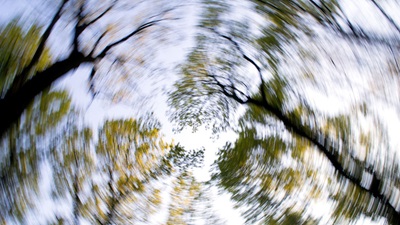 trees spinning
