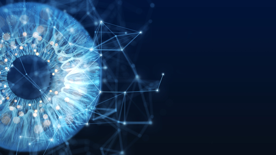 How AI could become "the optometrist's best friend" - Vimarsana News