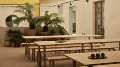 Rows of long tables with benches are arranged in a central space. The room is white and airy, with a glass ceiling, while an abundance of potted ferns fill the far space