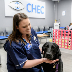 Antonia Fox Hospital Manager supporting Guide Dogs UK