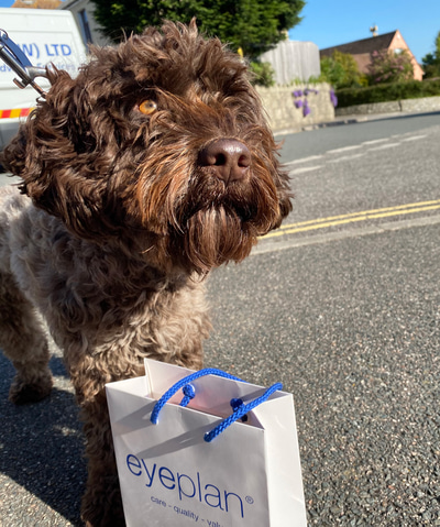 Dan Varcoe’s dog sits next to a small paper carrier bag