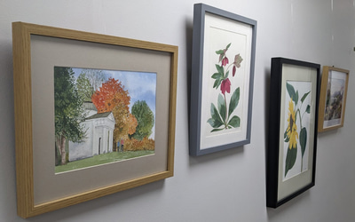 Four framed paintings hanging on a wall in the practice. The first is a landscape painting and the second and third are flowers. The fourth is not visible as it’s too far away.
