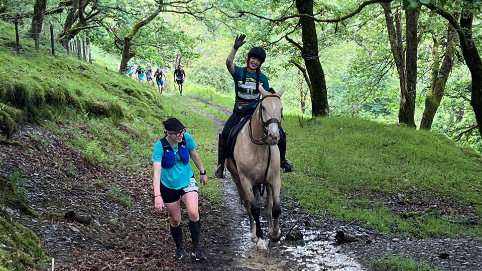 A tan horse and rider make their way along a wooded path