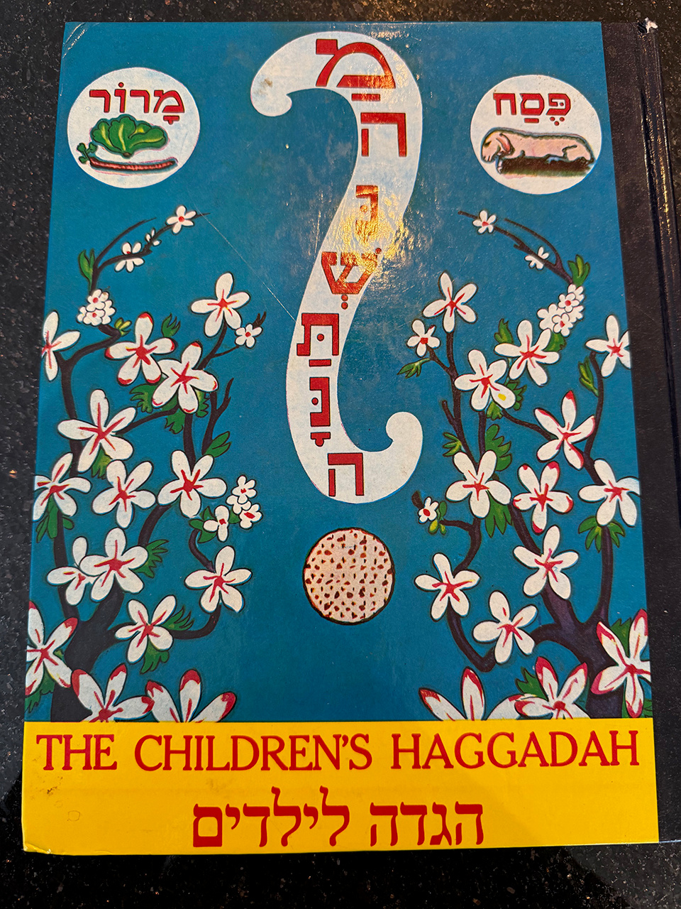 A children’s version of the Haggadah
