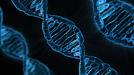 blue DNA