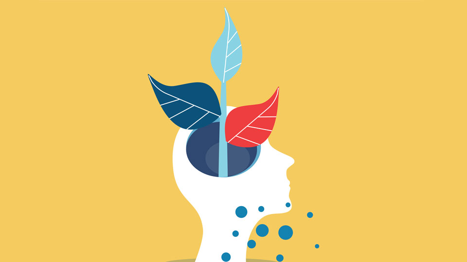 An illustration of a head in profile, with a blue and red plant growing out – representing a growth mindset or learning