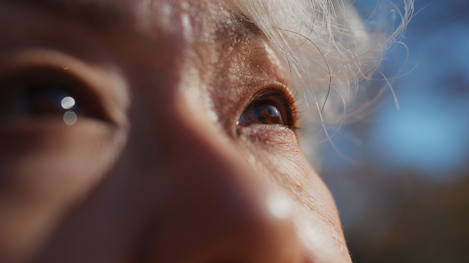 Close up of the eyes of an elderly woman 