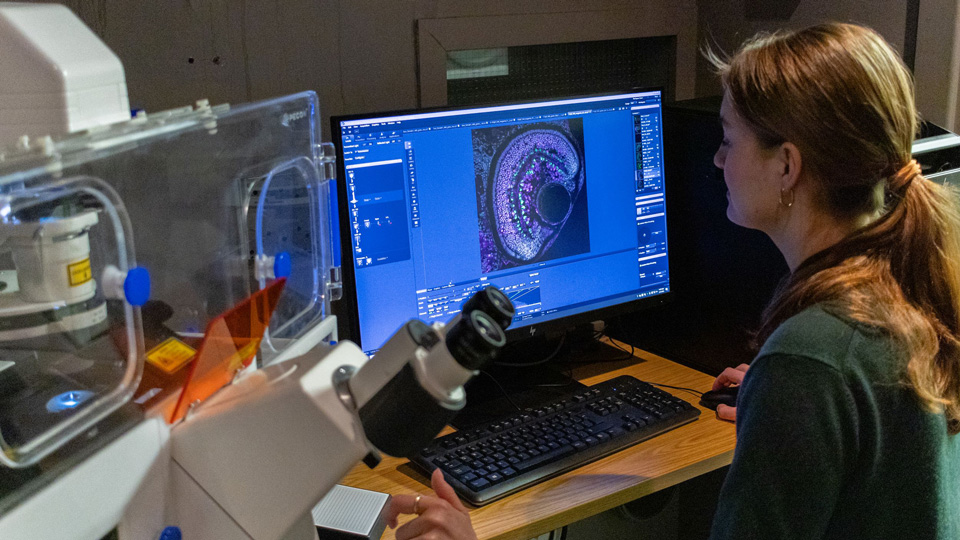 A female scientist works in front of a computer screen