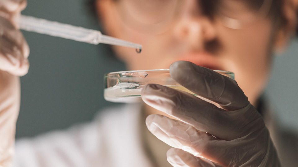A female scientist uses a pipette to drop liquid into a petrie dish