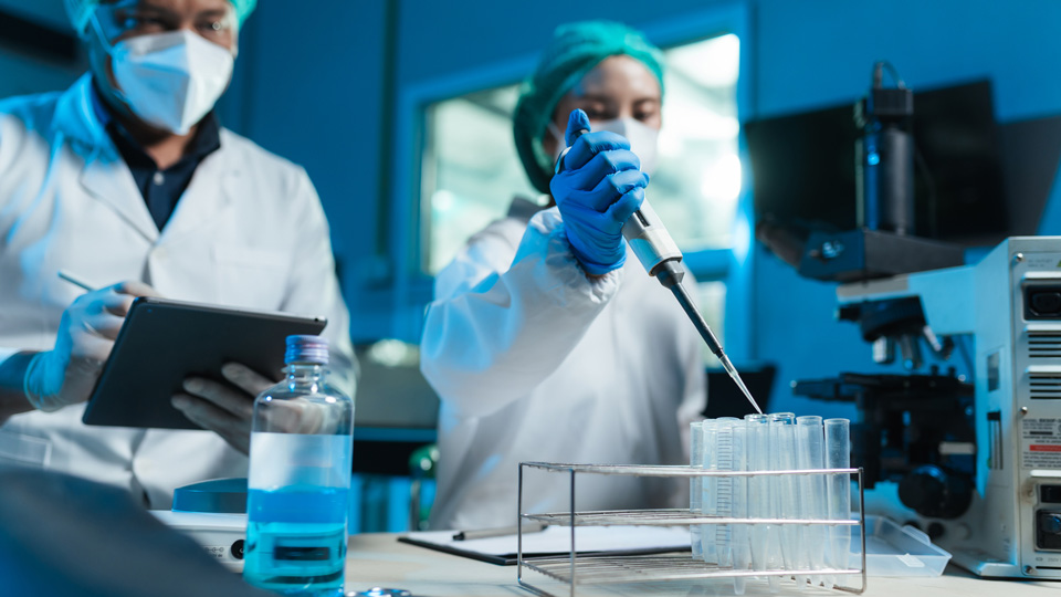 Scientists work in a laboratory