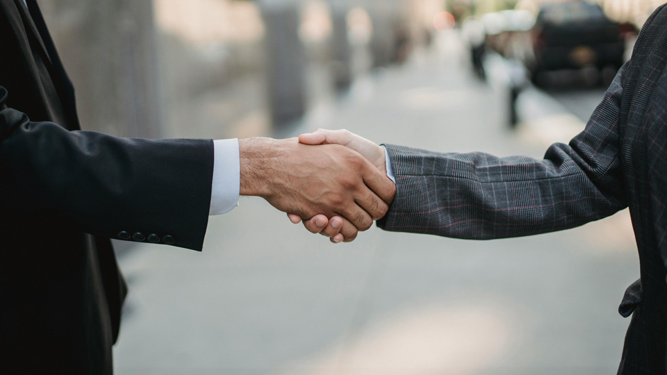 Two professionals shake hands