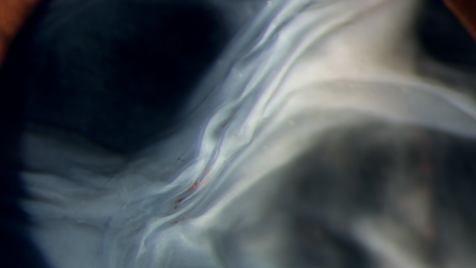 An extremely macro image of a pupil with waves of shades of grey that appear almost like abstract art