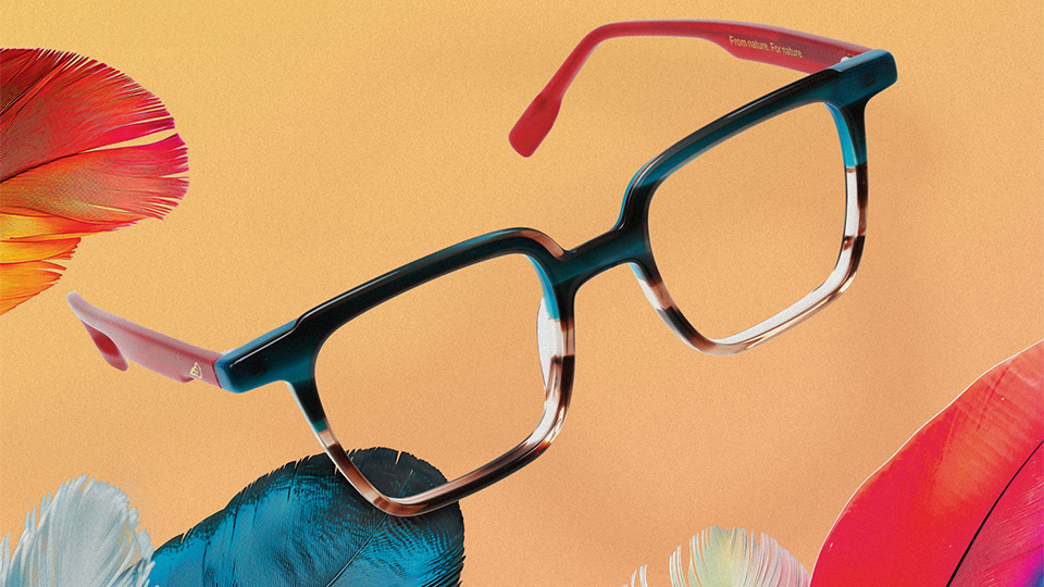 A multicoloured frame with splashes of red and blue is positioned against a sunny yellow-orange background with vibrant bird feathers in reds and blues