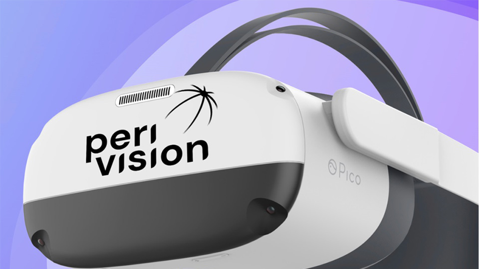VR for visual fields