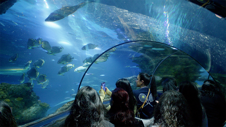 People at the Sea Life Centre