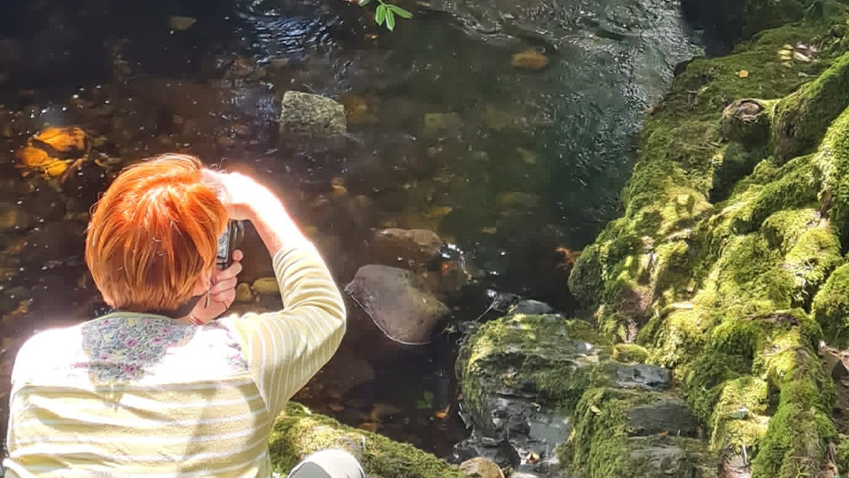 Sarah Gibson taking a picture of a stream on her phone