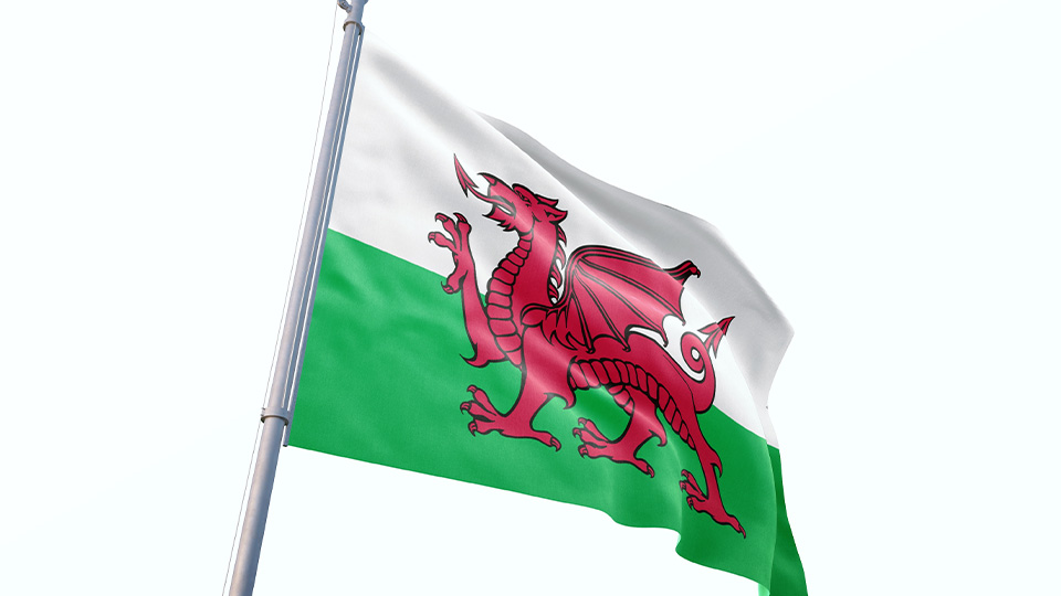 The Welsh flag