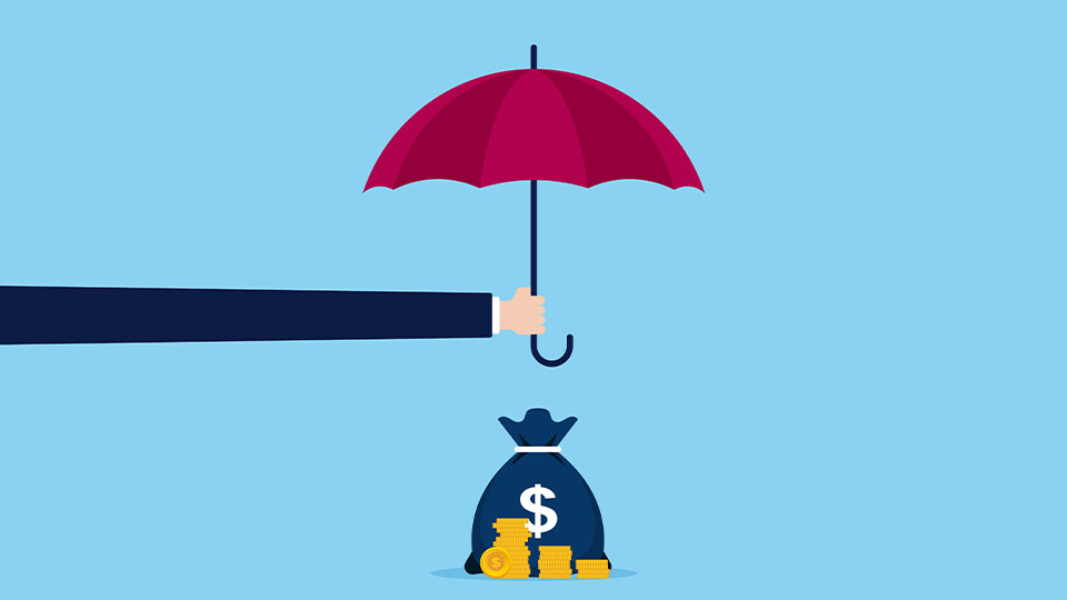 Cartoon of an umbrella protecting a pot of money
