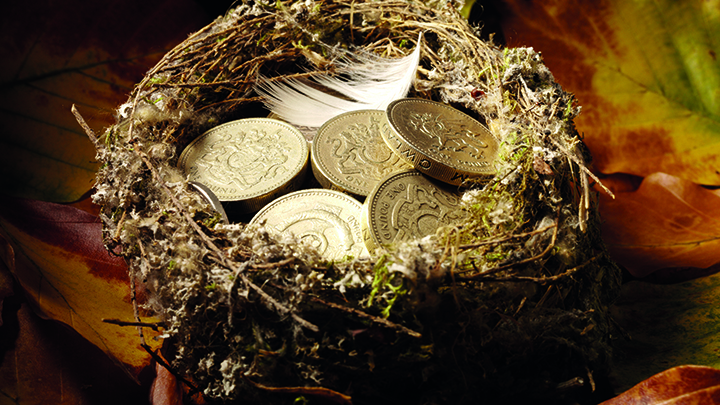 Money nest