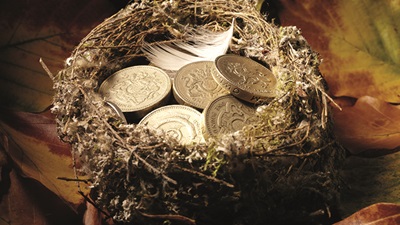 Money nest
