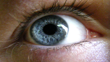 blue eye close-up