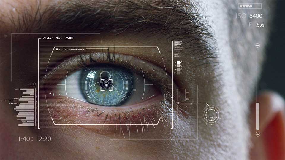 Eye