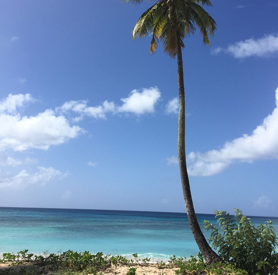 Barbados beach