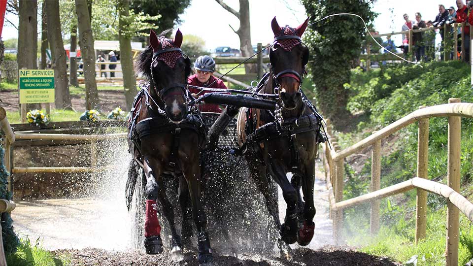 Horse Driving Trials