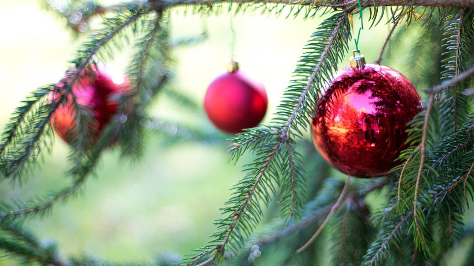 Christmas Tree