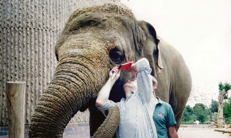David with Elephant