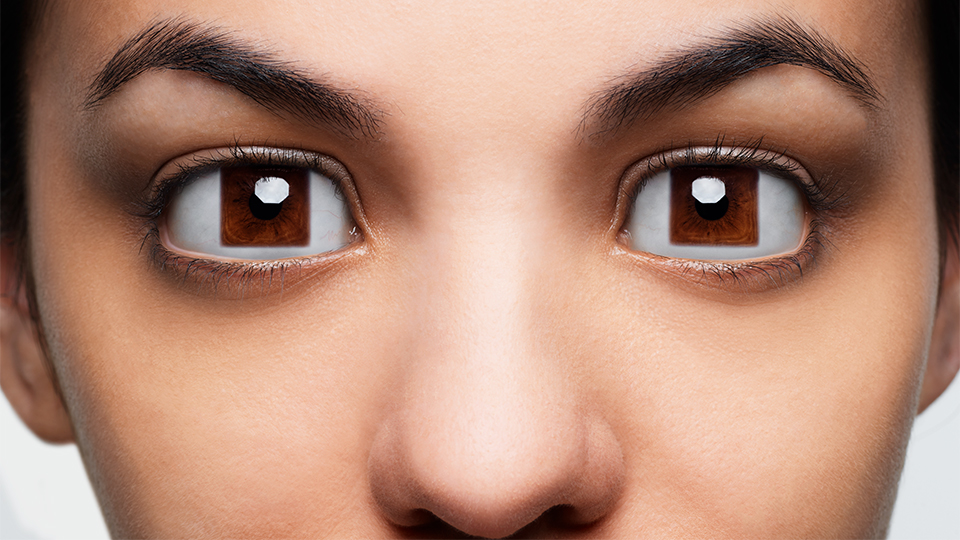 Hoya eyes image