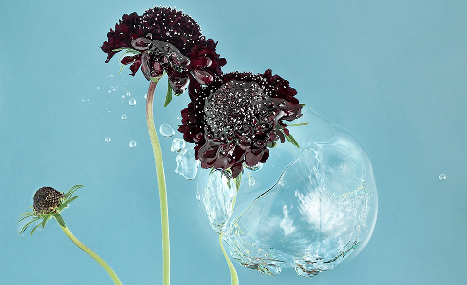 Fleye Copenhagen bubbles