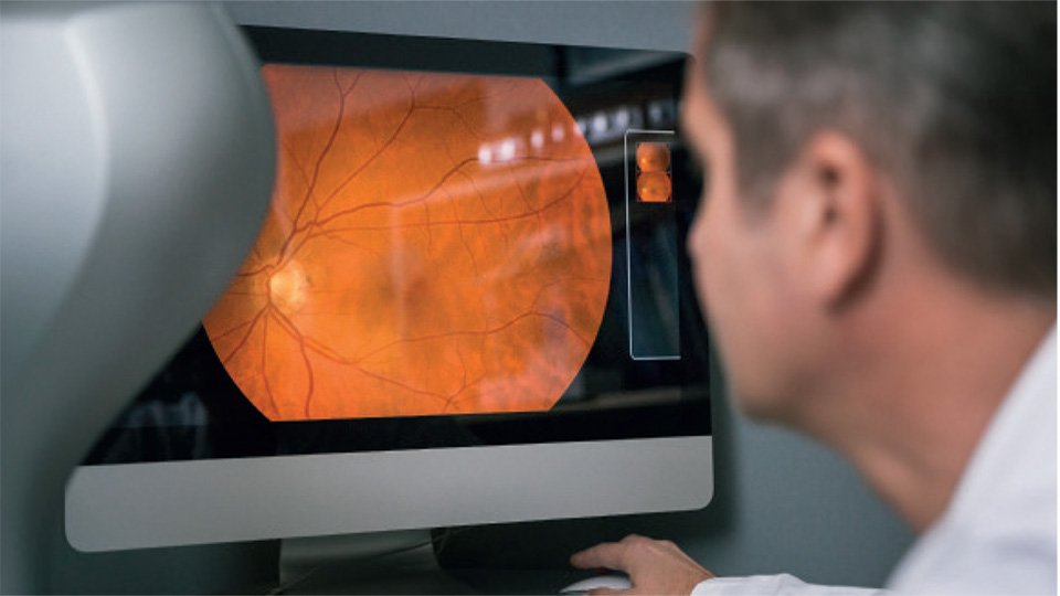 Person looking at an image on computer