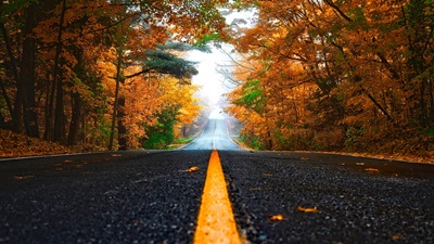open road in autumn