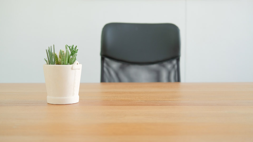 plant on desk