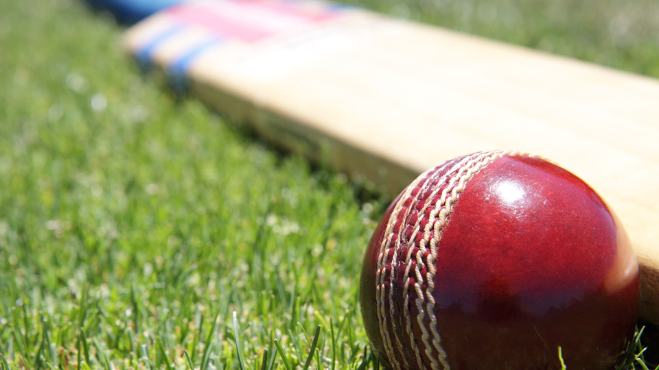 cricket bat and ball