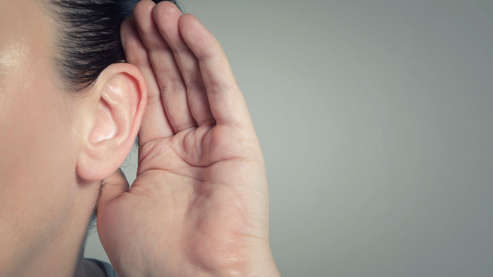 Ear