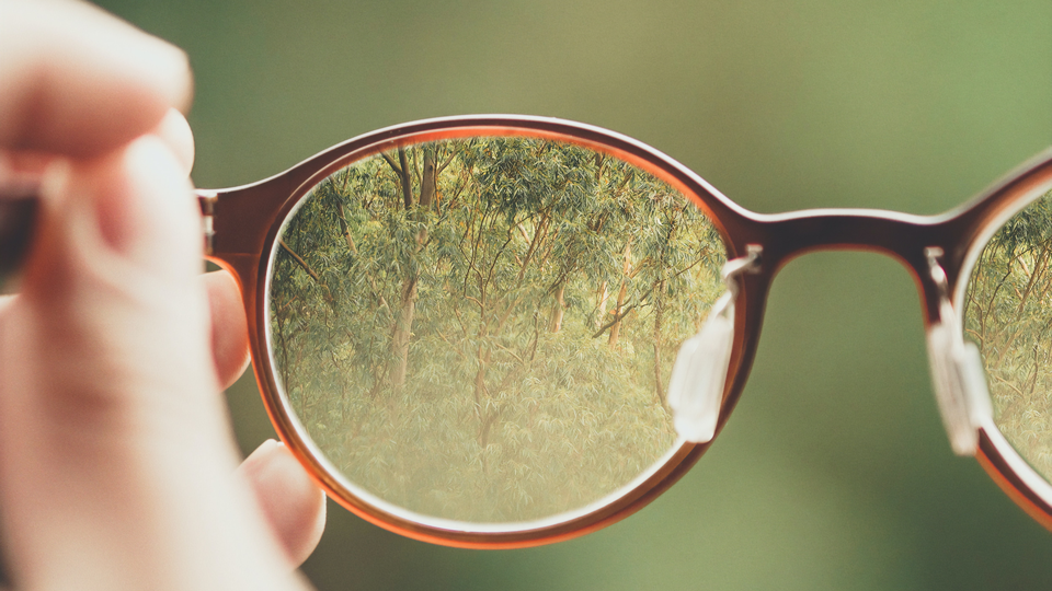 trees in glasses