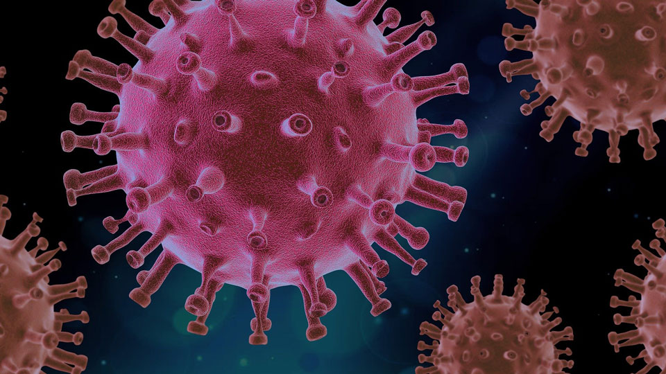 virus pink