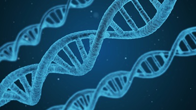 Blue DNA