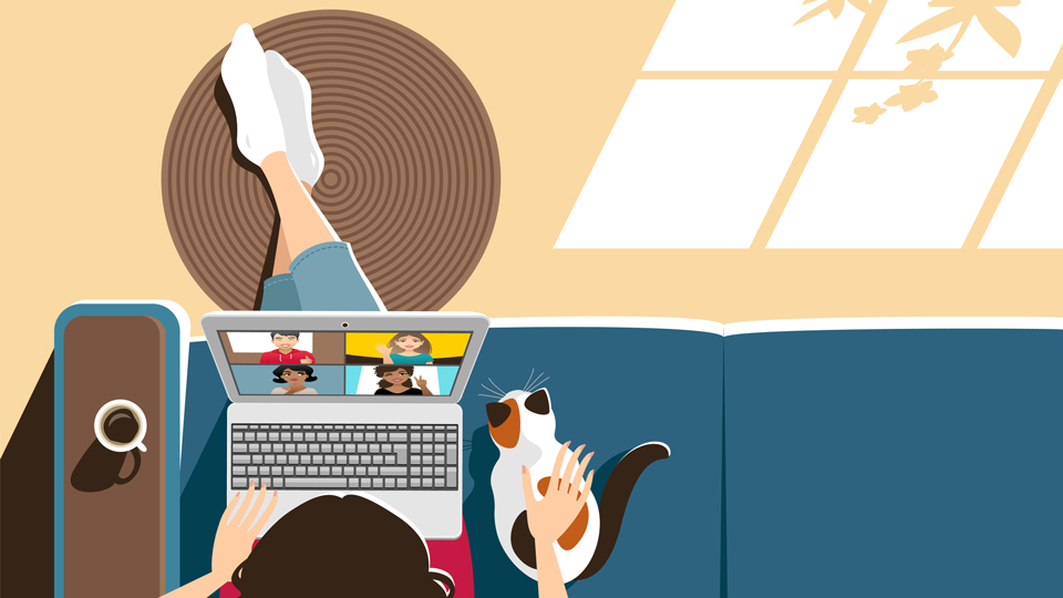cat and laptop
