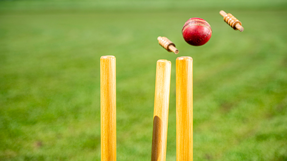 cricket and ball